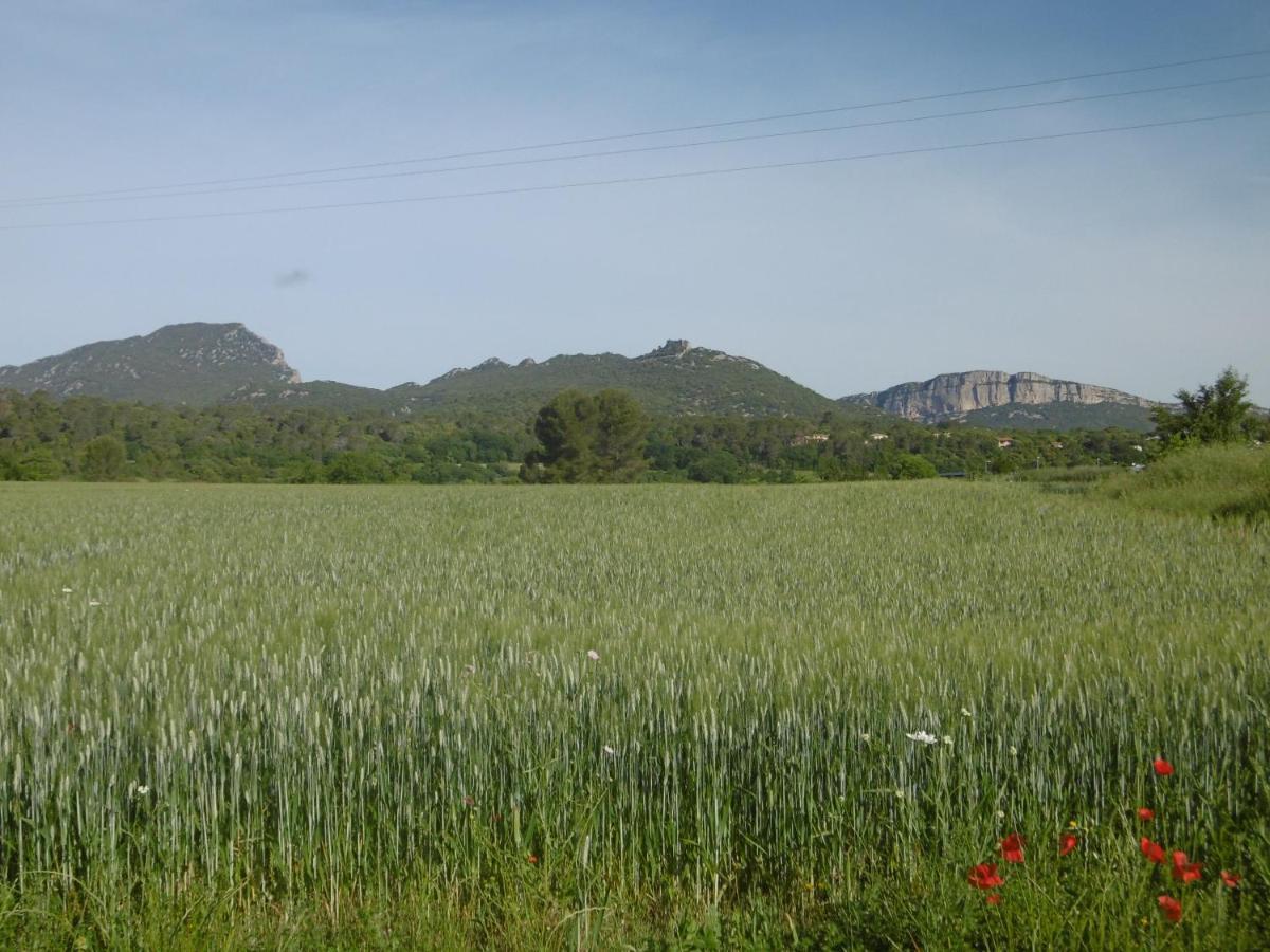 Le Castellas Du Pic St Loup Saint-Mathieu-de-Tréviers Exterior foto