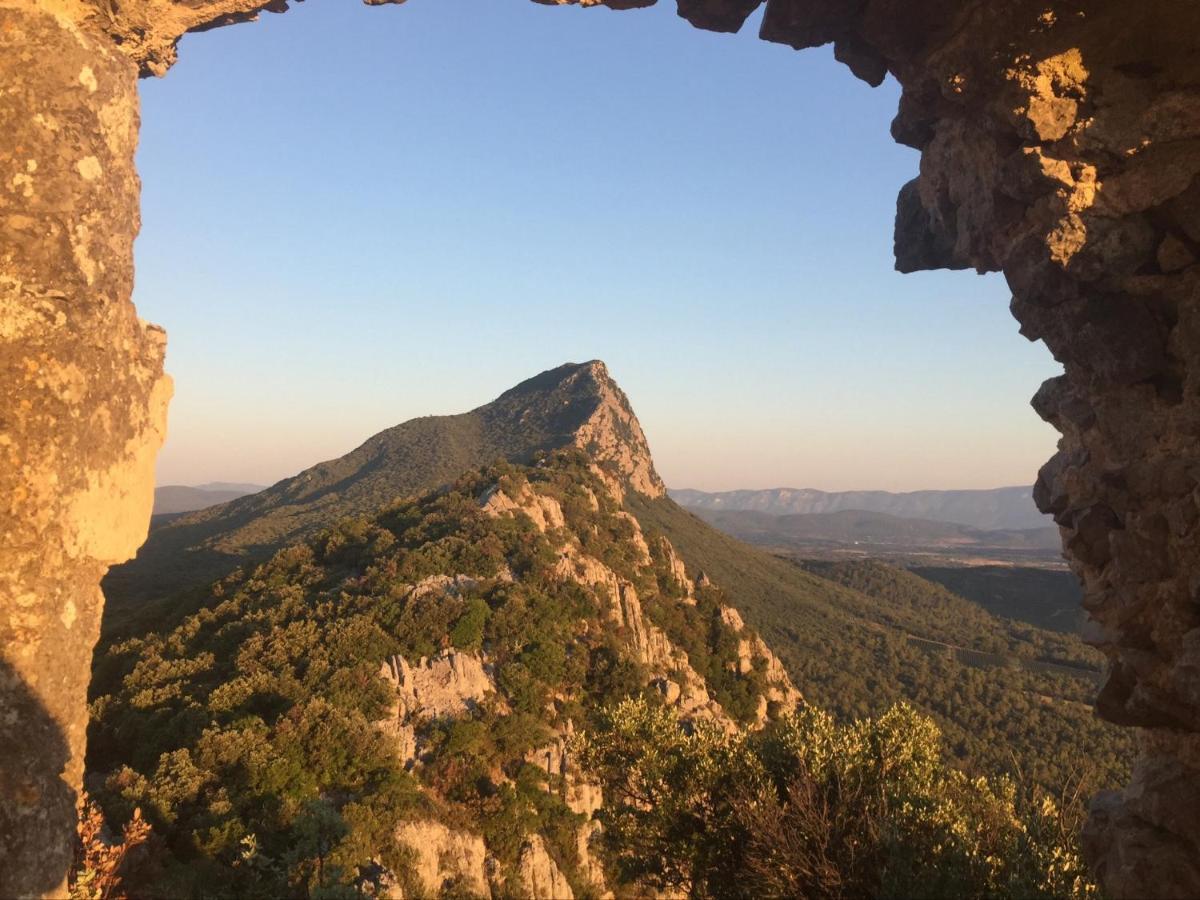 Le Castellas Du Pic St Loup Saint-Mathieu-de-Tréviers Exterior foto