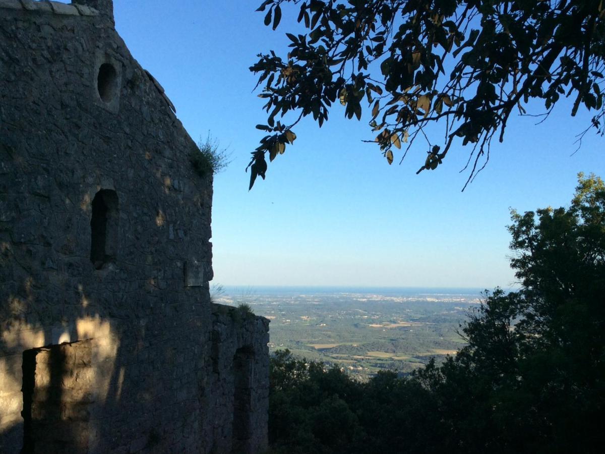 Le Castellas Du Pic St Loup Saint-Mathieu-de-Tréviers Exterior foto